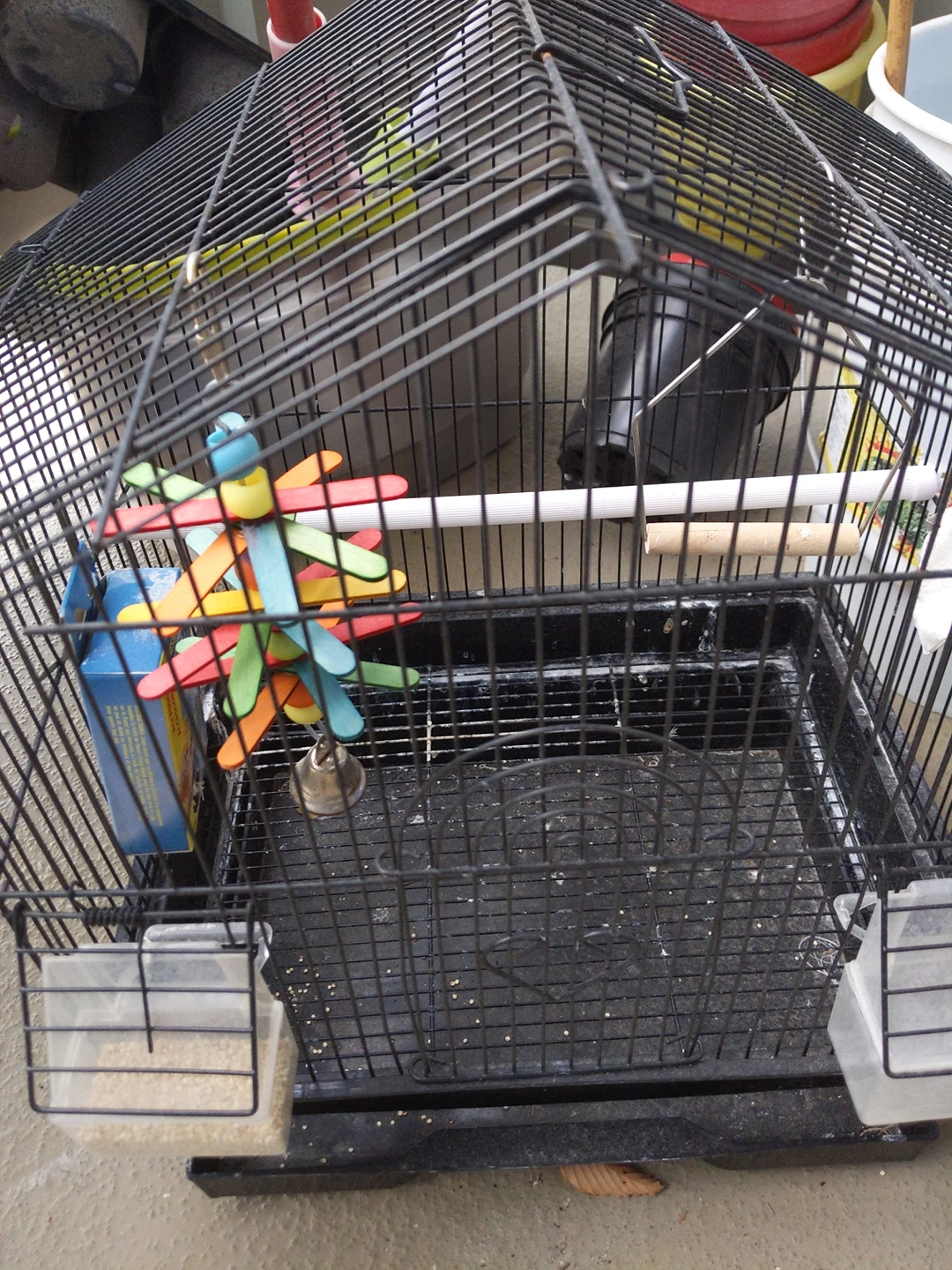 zebra finches bird cage