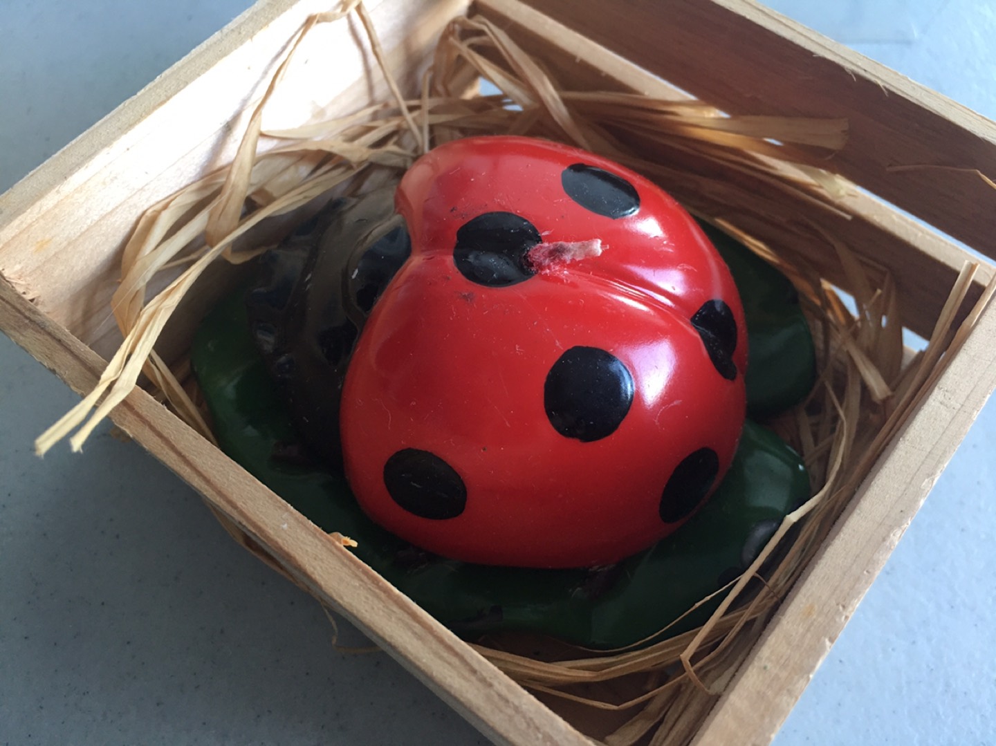 Beetle Candles image indicator(2)