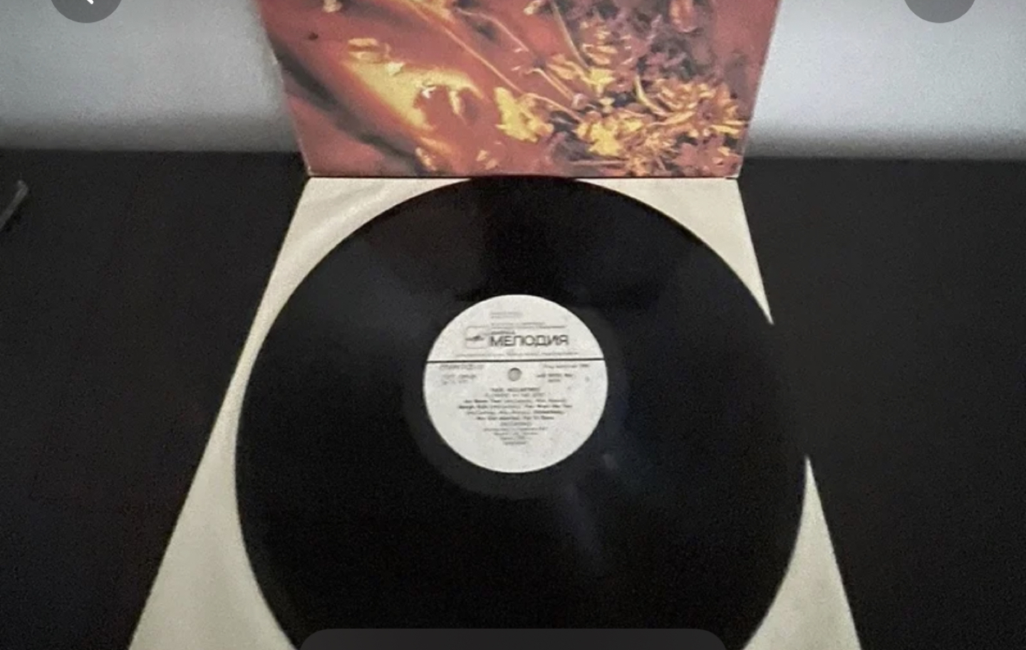 Two Vinyl Records - photo 4