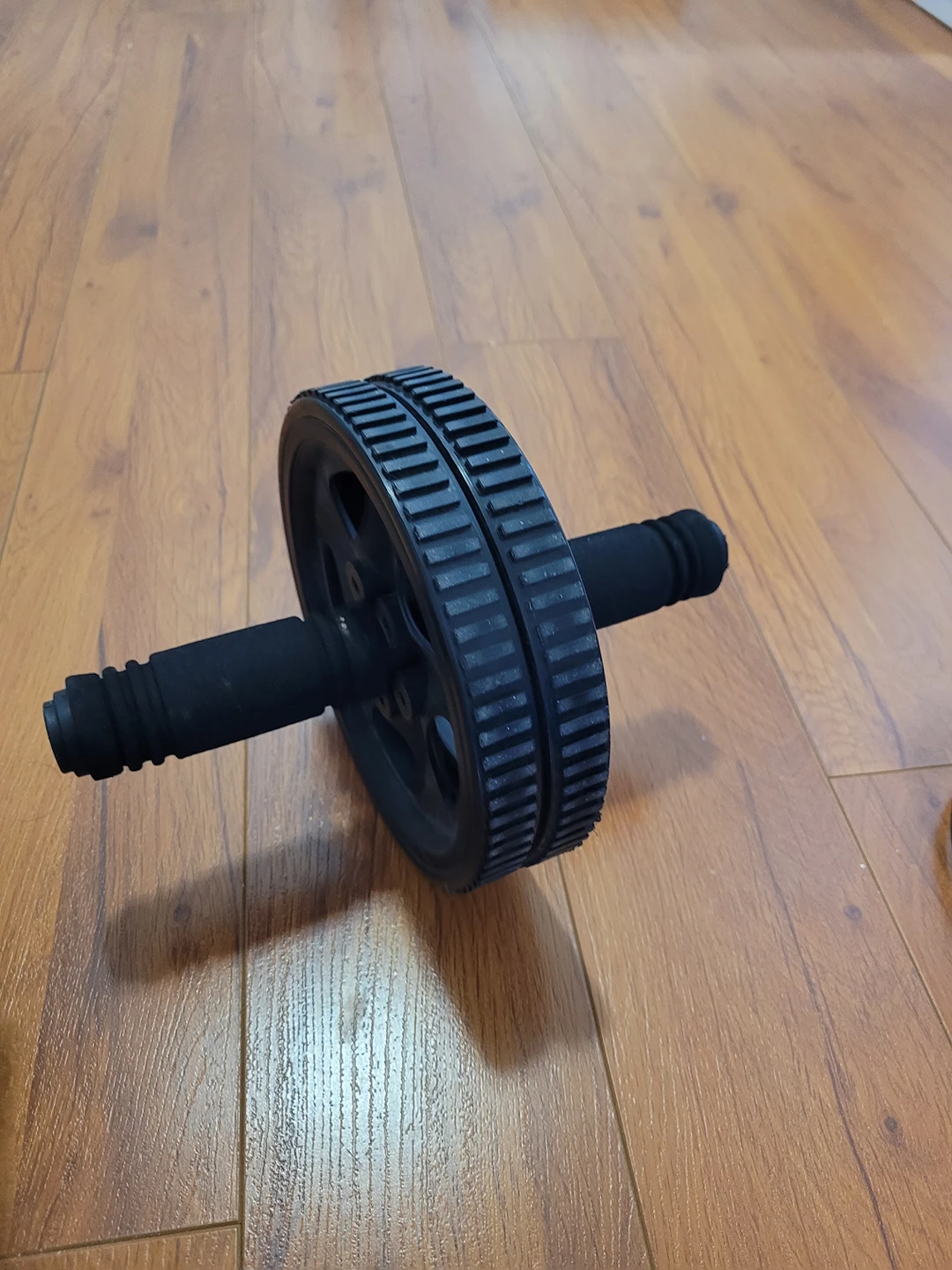 Ab Roller Wheel #freecycle