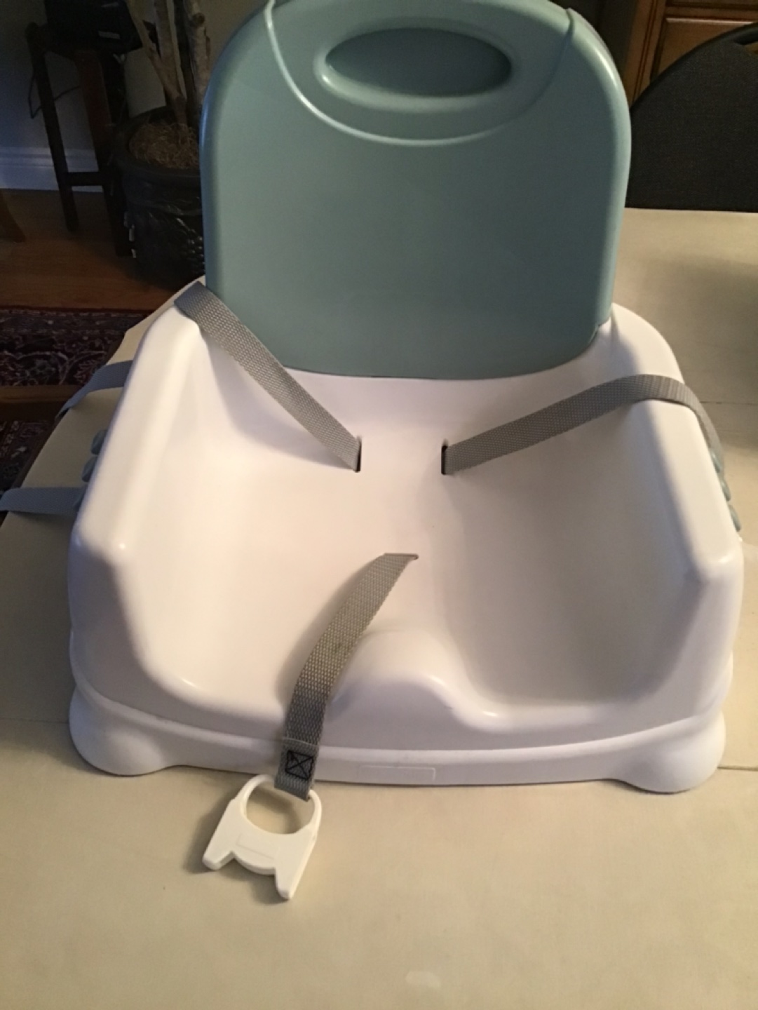 #freecycle Fisher Price booster seat thumbnail