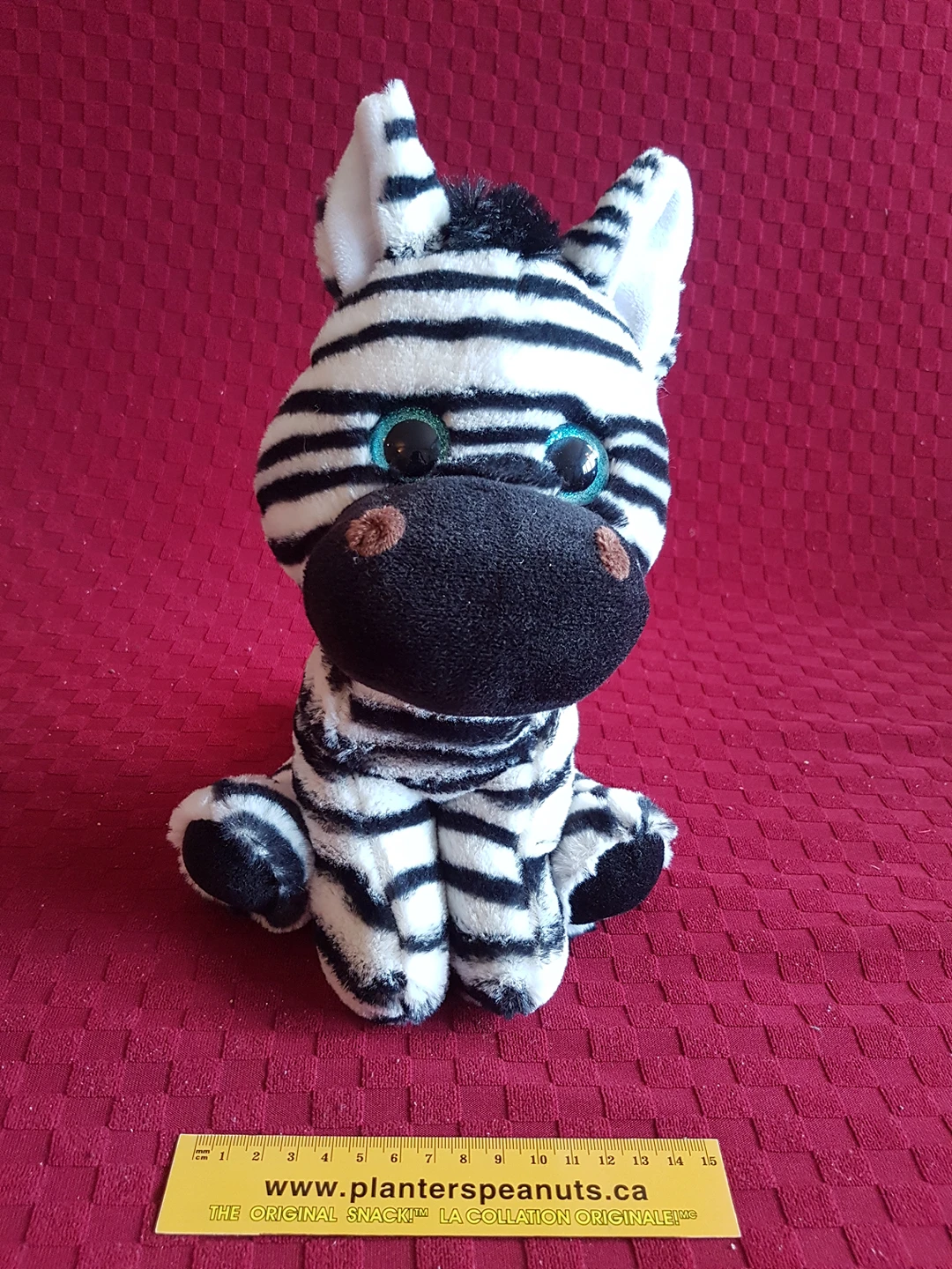 Zebra for kids thumbnail