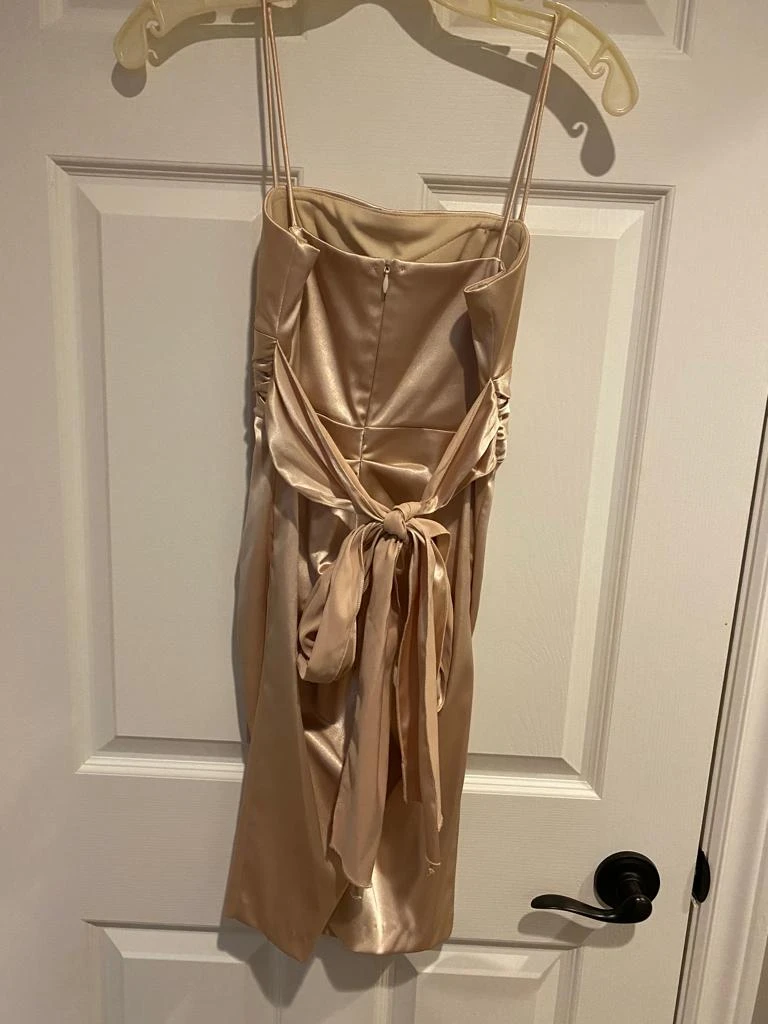 Cocktail Dress image indicator(2)