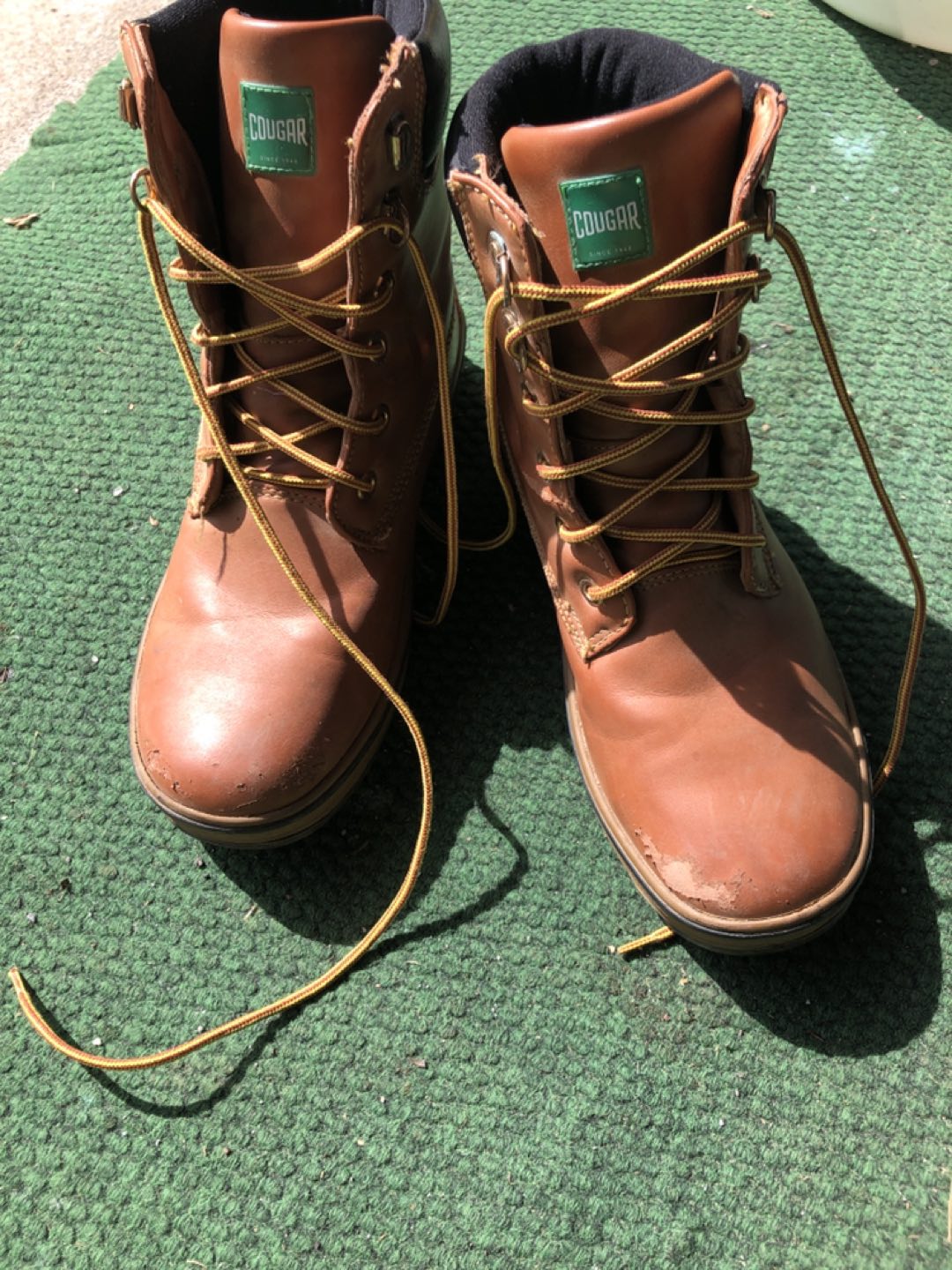 Cougar boots -size 7M #freecycle