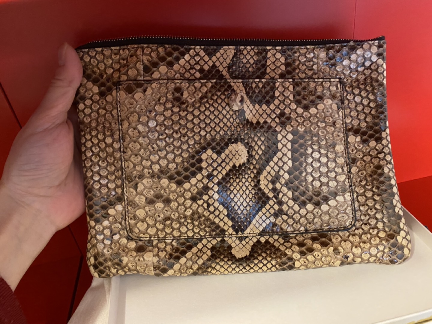 Authentic Celine Python Skin Clutch Pouch image indicator(2)