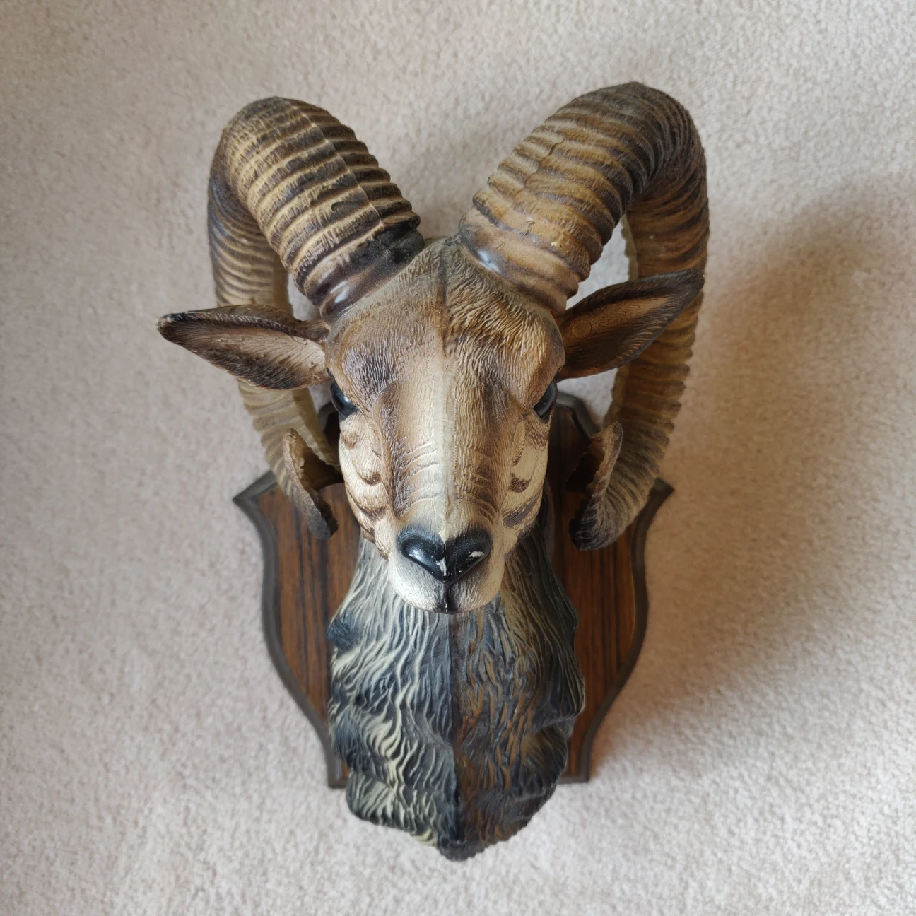 Wall Mount Figure- Mountain Sheep thumbnail