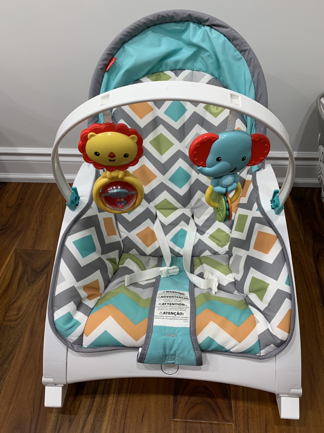 Fisher Price Infant to Toddler Rocker