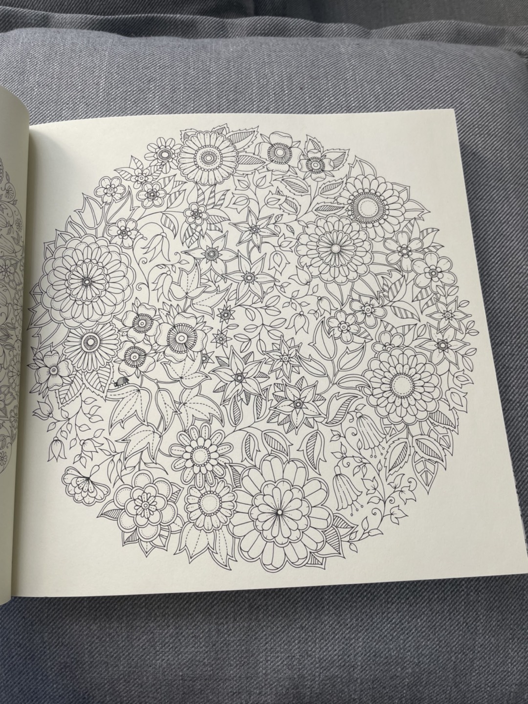 Secret garden colouring book #freecycle - photo 2