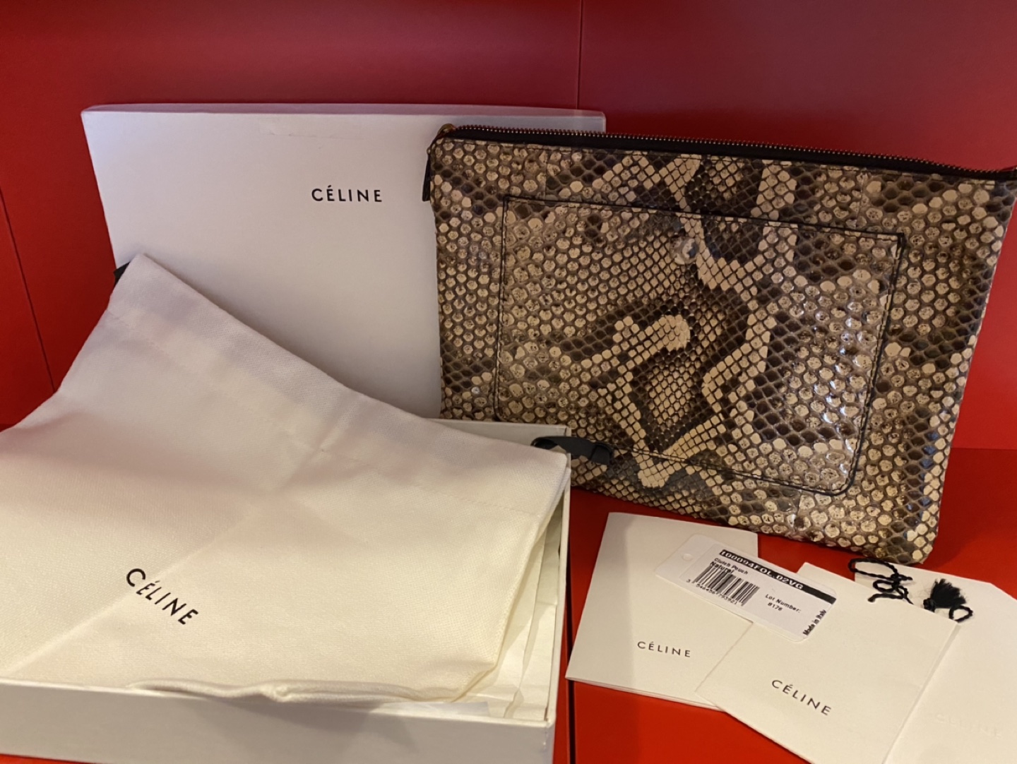 Authentic Celine Python Skin Clutch Pouch