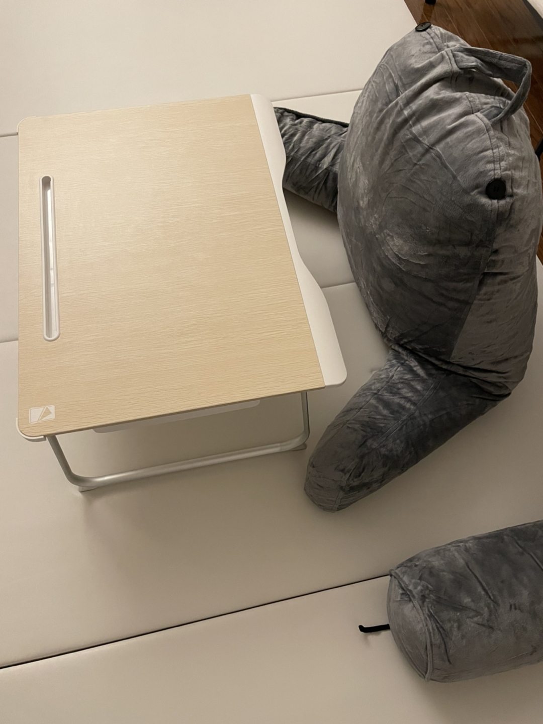 Backrest with Arms / Reading Pillow