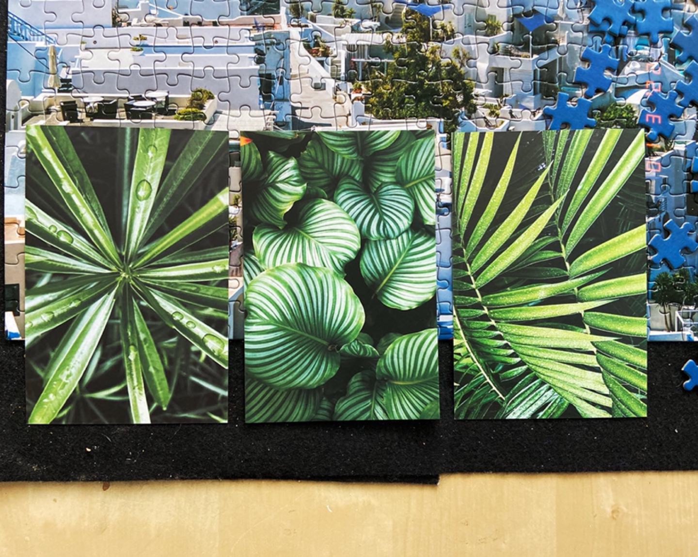 🖼 3 set cards for display #homedecor #willowdale #plants thumbnail