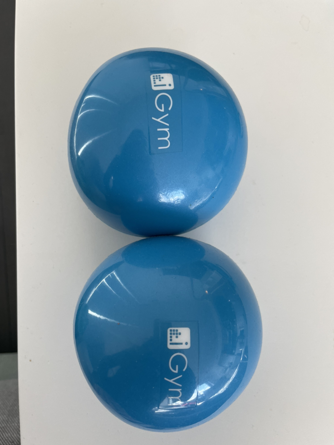 2lb weighted gym balls