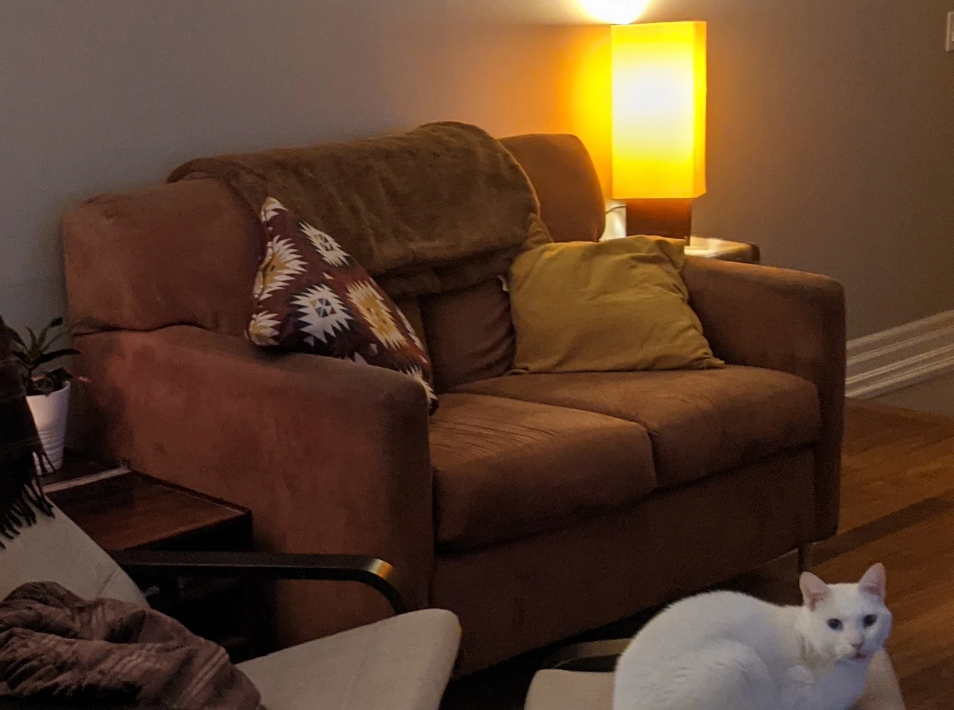 Free Loveseat thumbnail