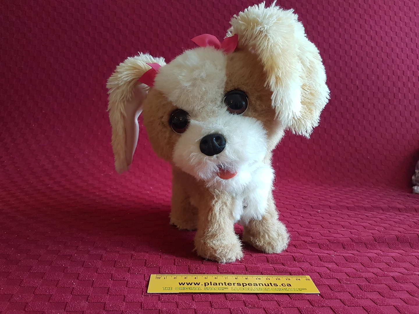 Puppy for kids image indicator(2)