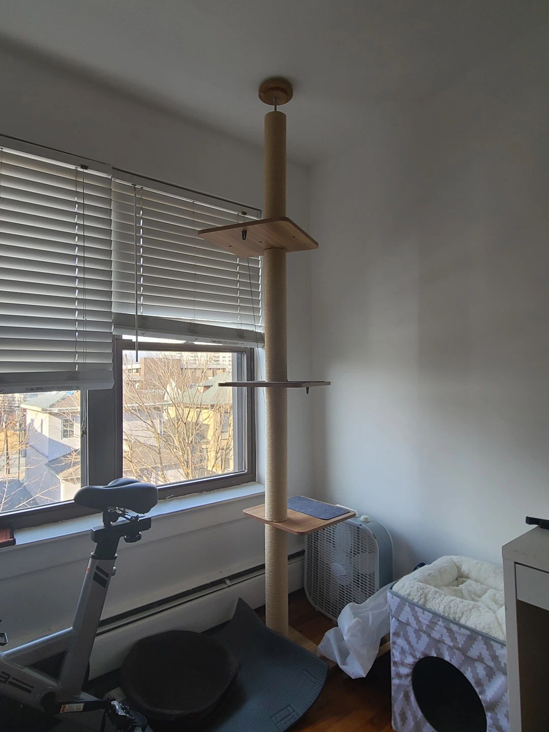 cat tower