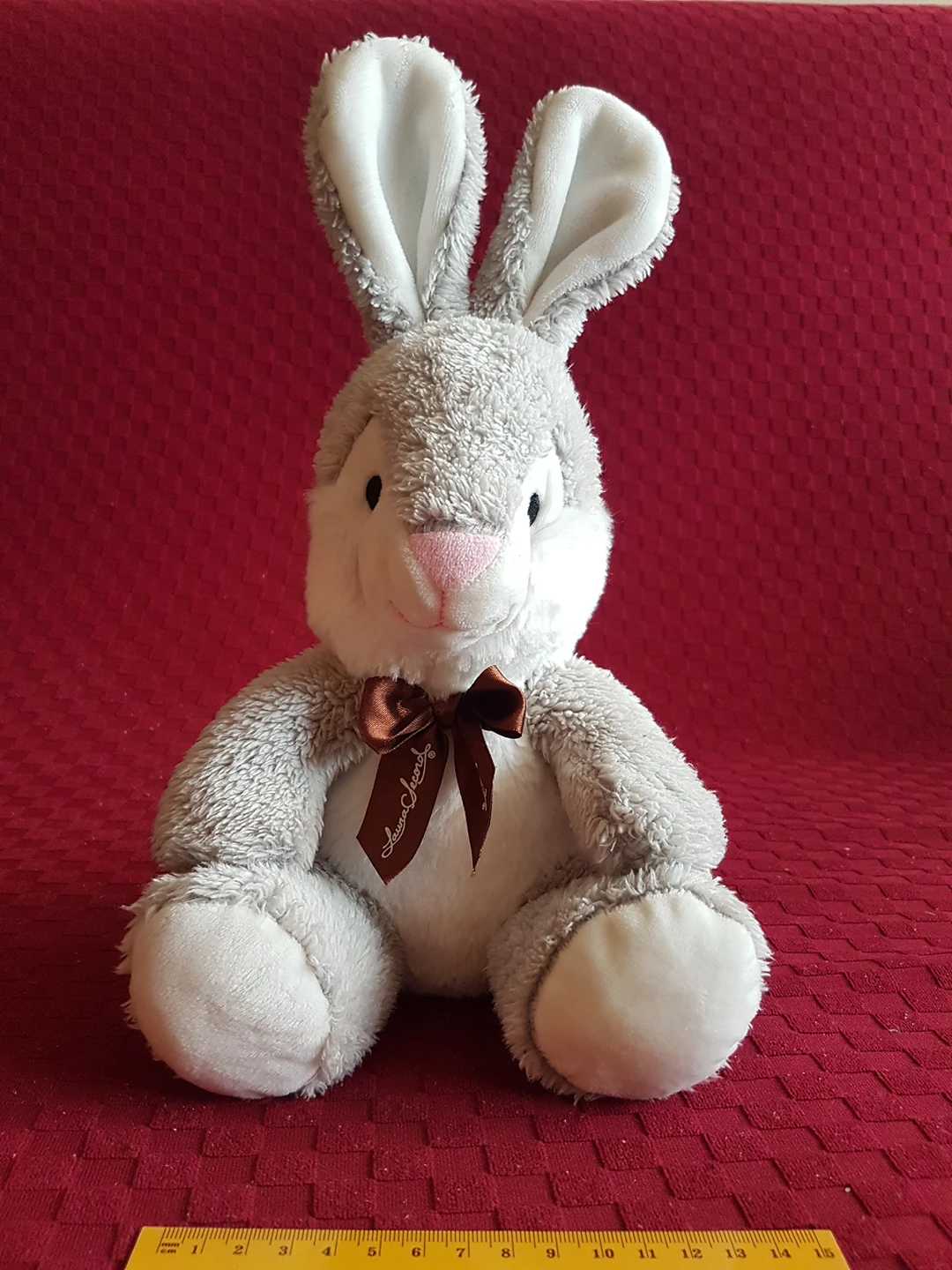 Bunny Rabbit thumbnail