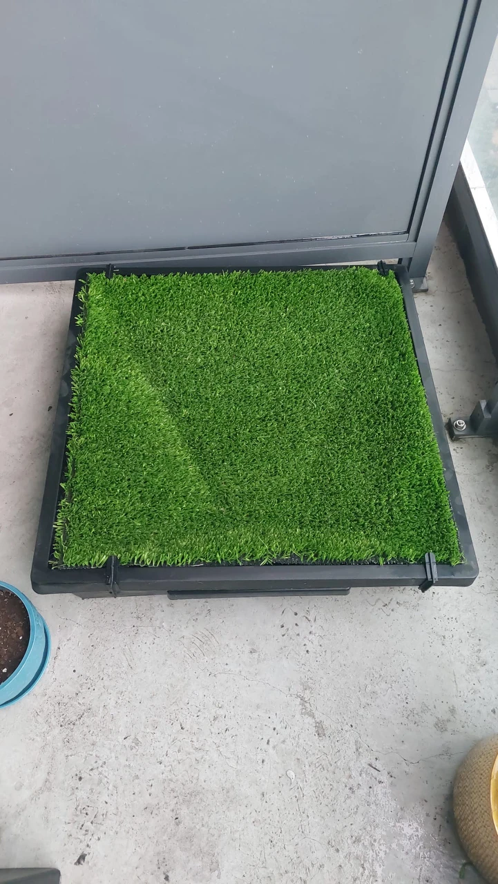 Indoor/Outdoor Dog Potty