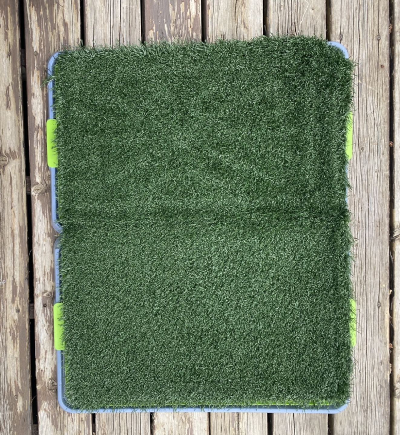 Puppy Pet Potty Training Pad - photo 2