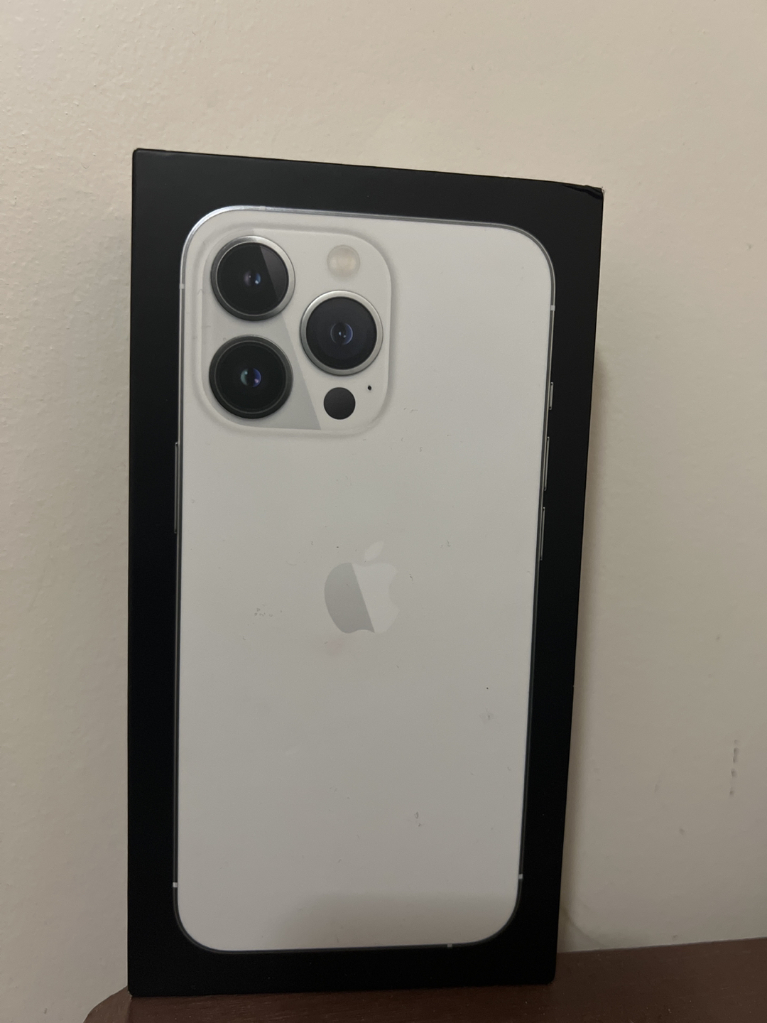 iPhone 13 pro