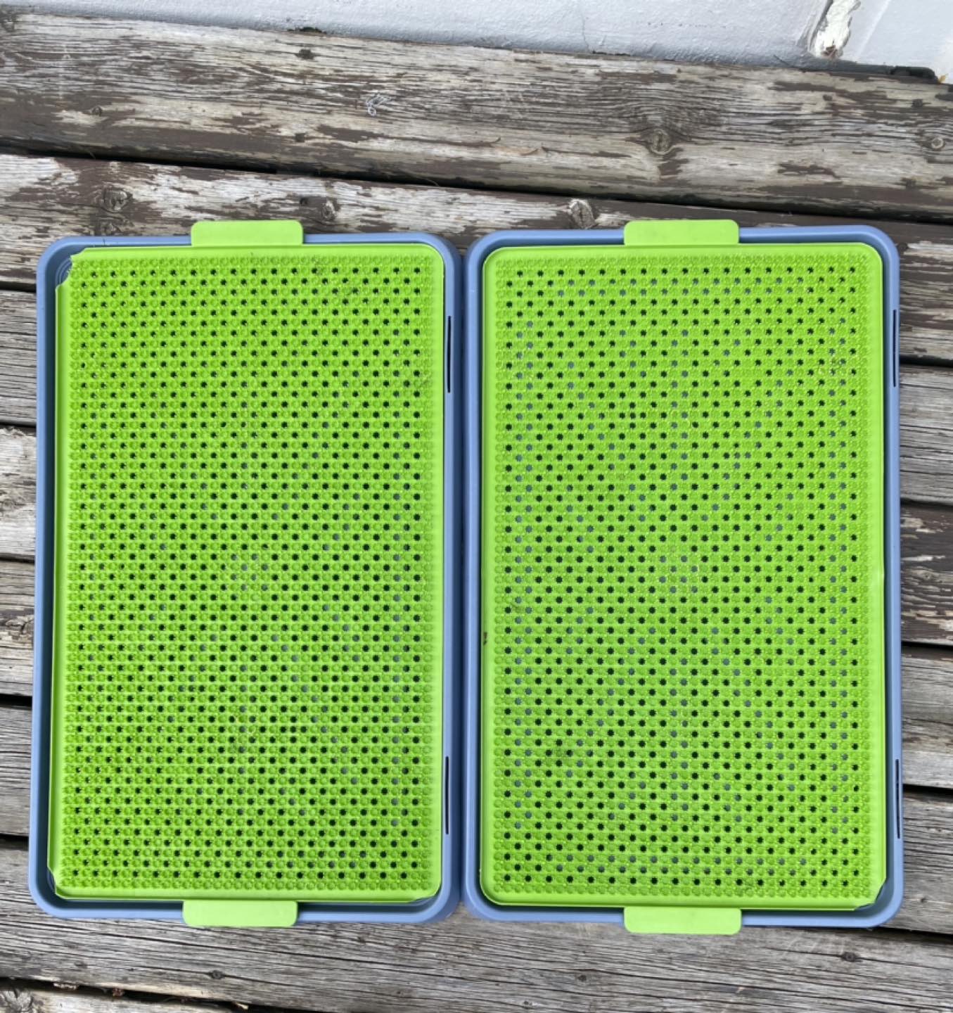 Puppy Pet Potty Training Pad - photo 3