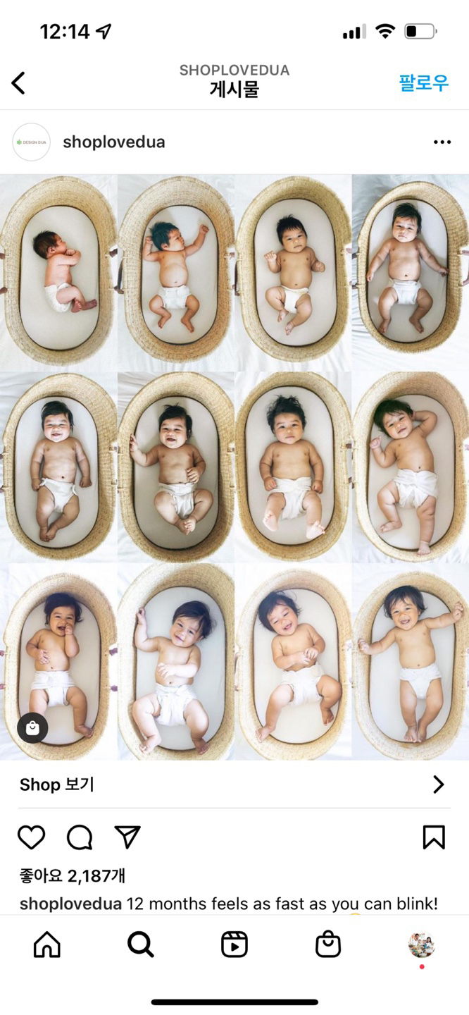 design dua moses bassinet - photo 3
