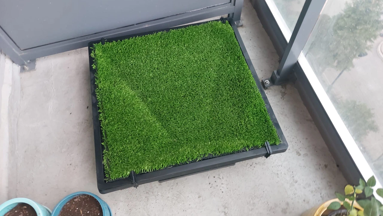 Indoor/Outdoor Dog Potty - photo 2
