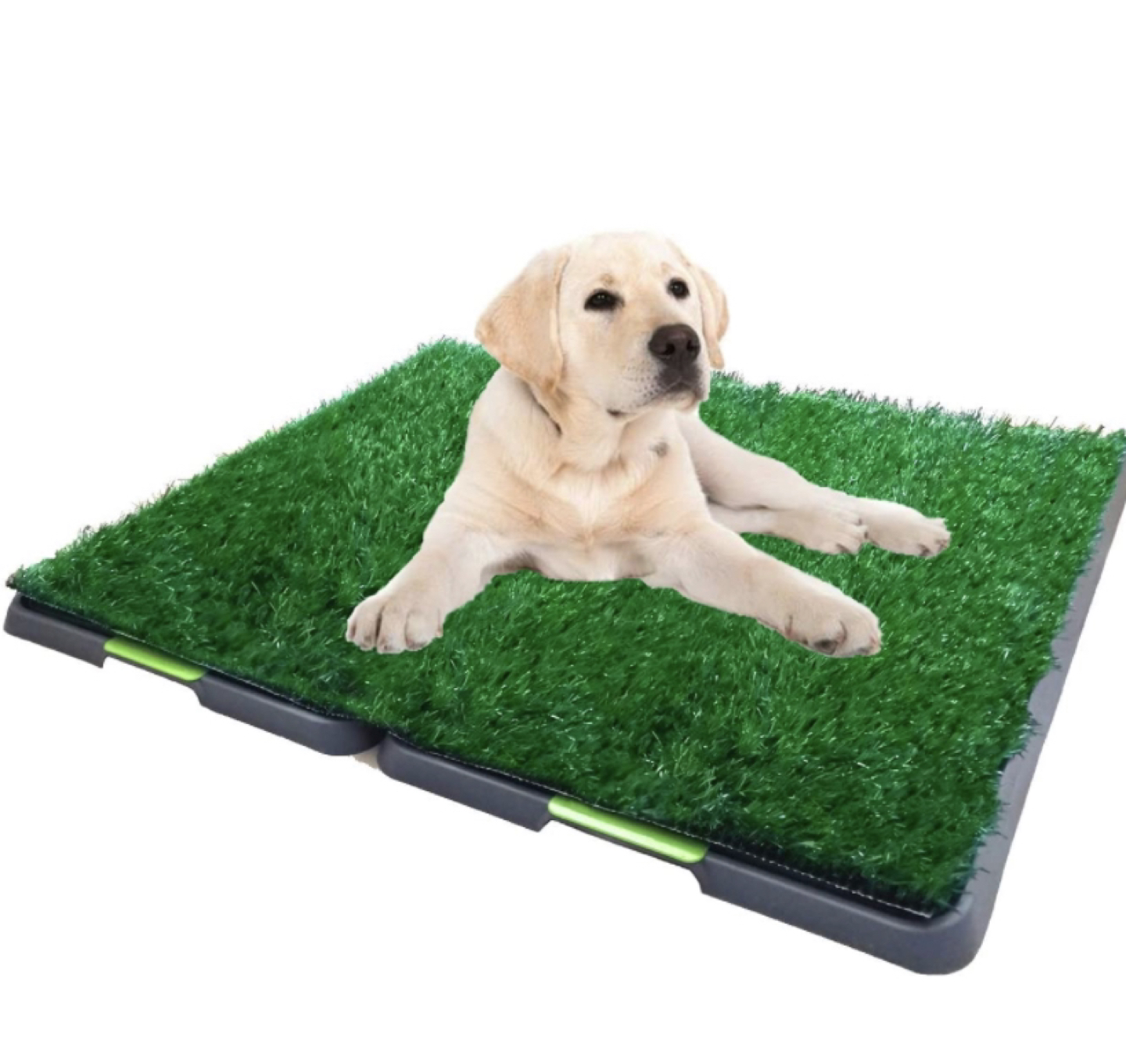 Puppy Pet Potty Training Pad