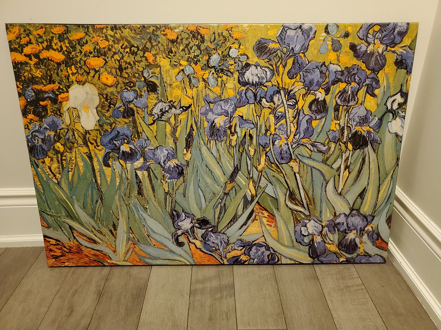 Print of Vincent Van Gogh Irises