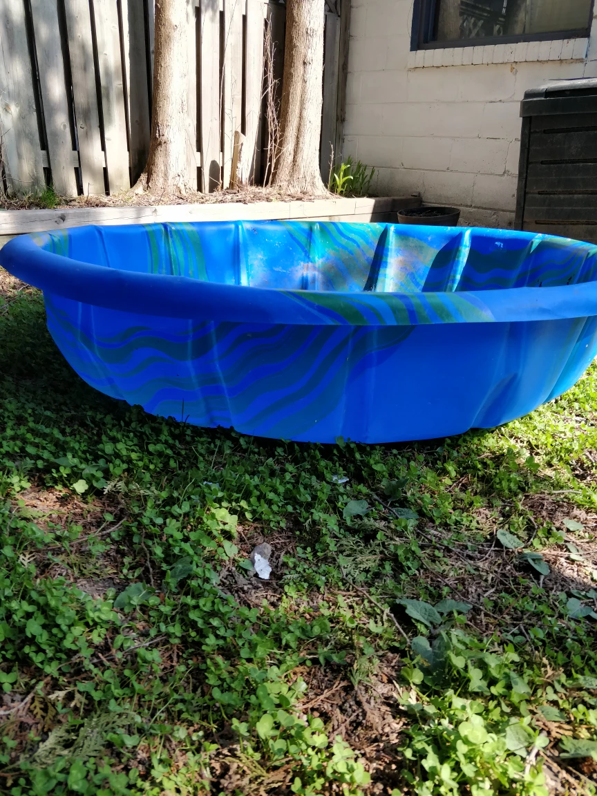 Kids Pool Baby Pool thumbnail
