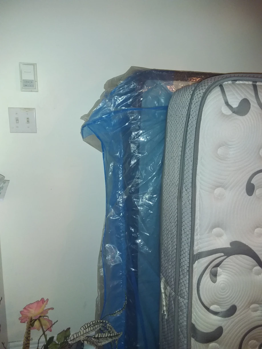 Queen mattress and box spring - photo 2