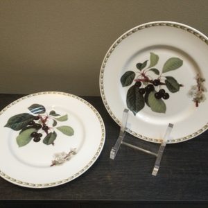 Vintage Royal Orchard Queen’s fruit salad plates set of 2