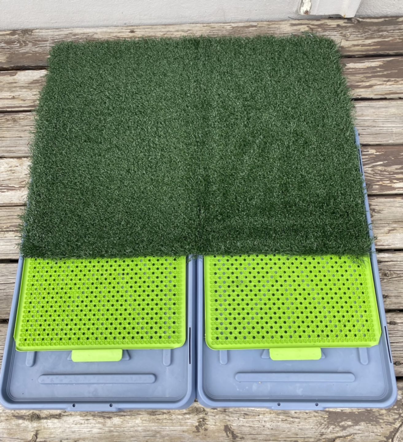 Puppy Pet Potty Training Pad - photo 4