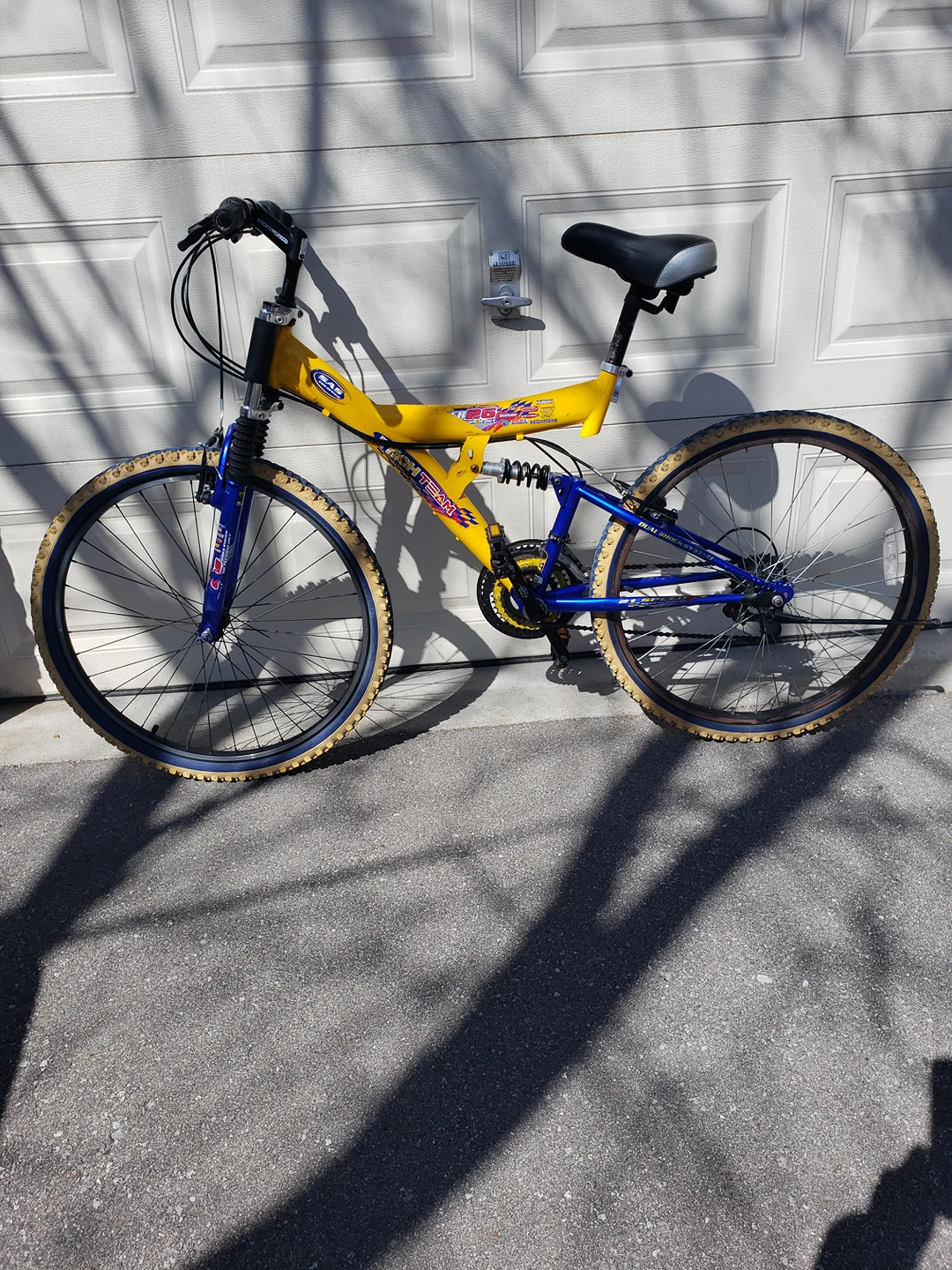 AMAZING ADULT MOUNTAIN BIKE