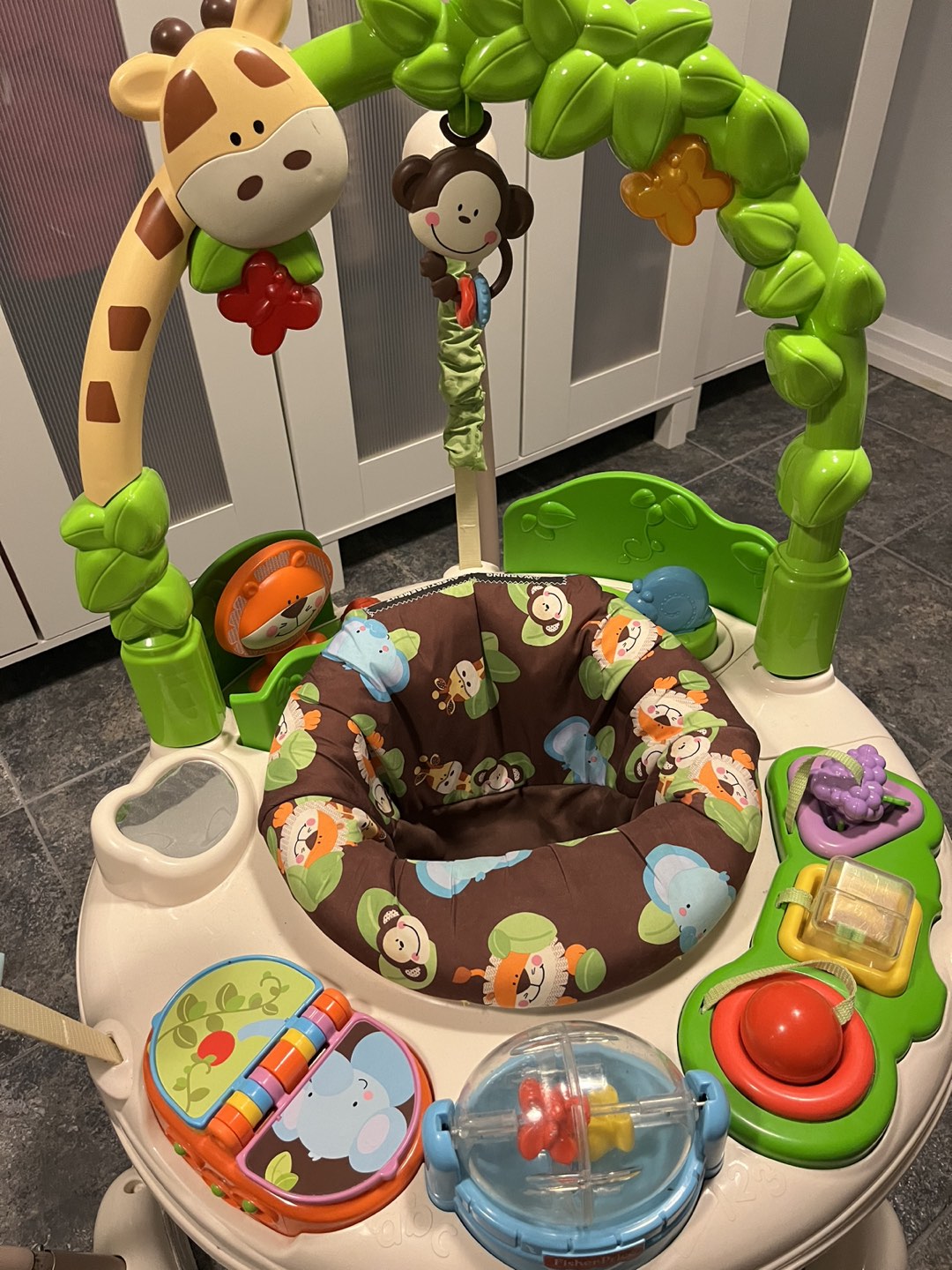 Fisher Price Jumperoo