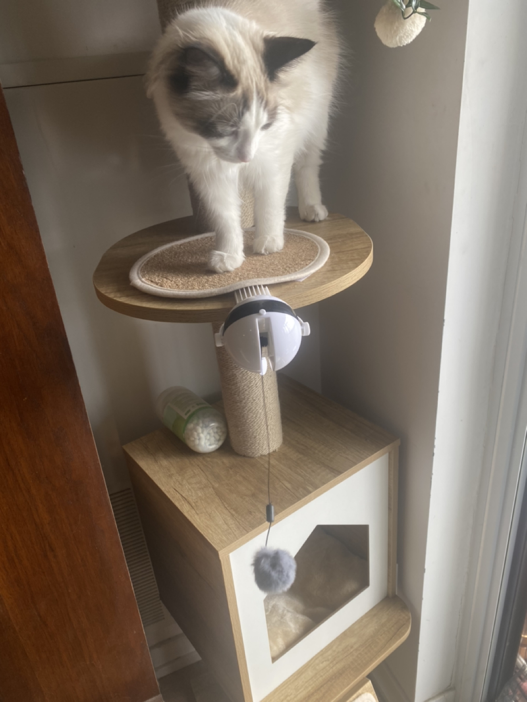 Cat tower