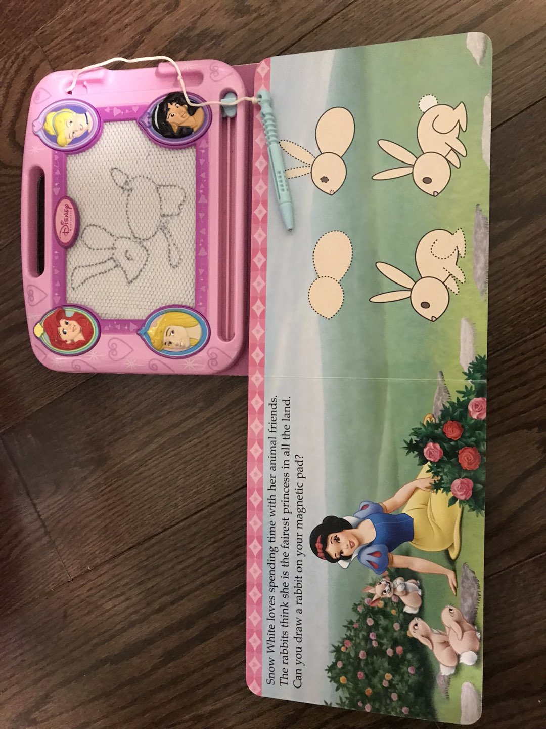 Learn to draw Princess Book / erasable image indicator(3)