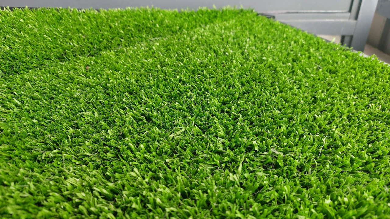 Indoor/Outdoor Dog Potty - photo 5
