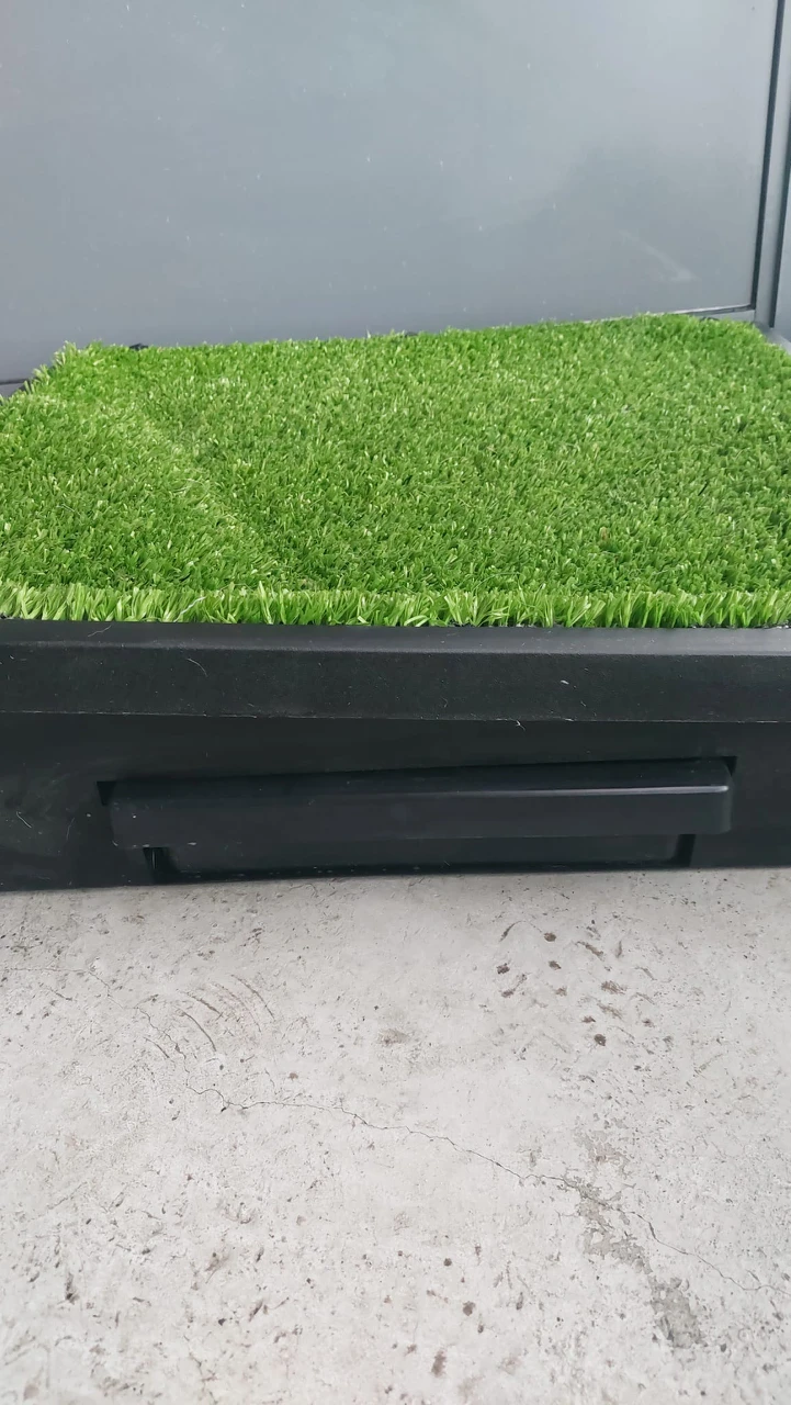 Indoor/Outdoor Dog Potty - photo 3