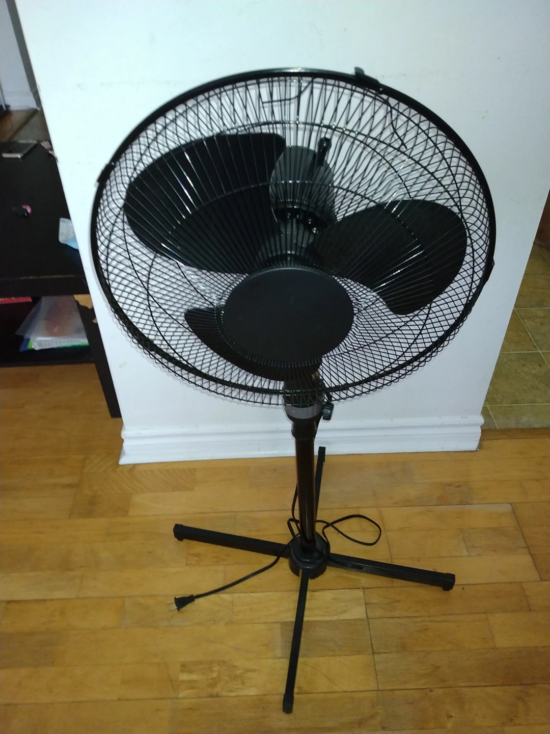 Fan