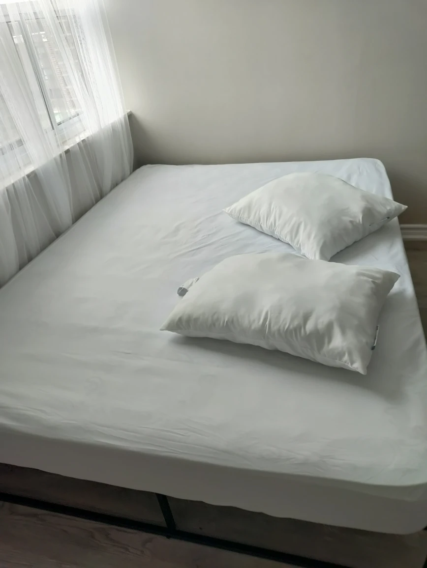Queen sized mattress+ metal base #freecycle - photo 4