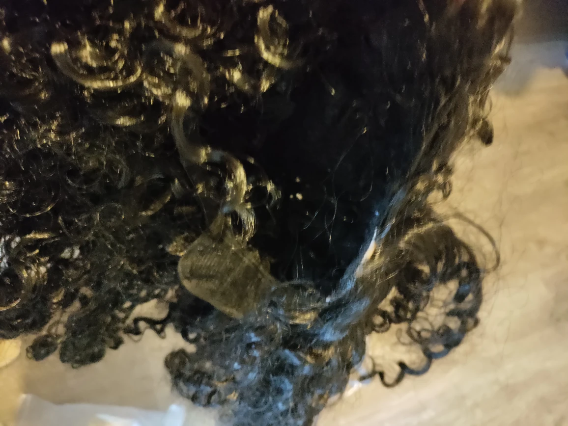Two costume wigs (lace front) - photo 5
