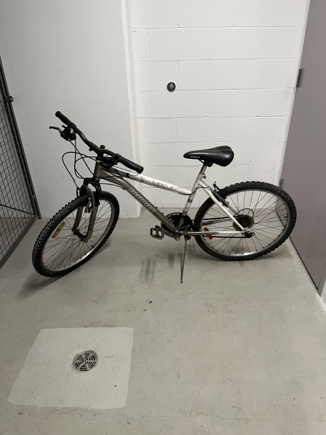 Adult Bike thumbnail