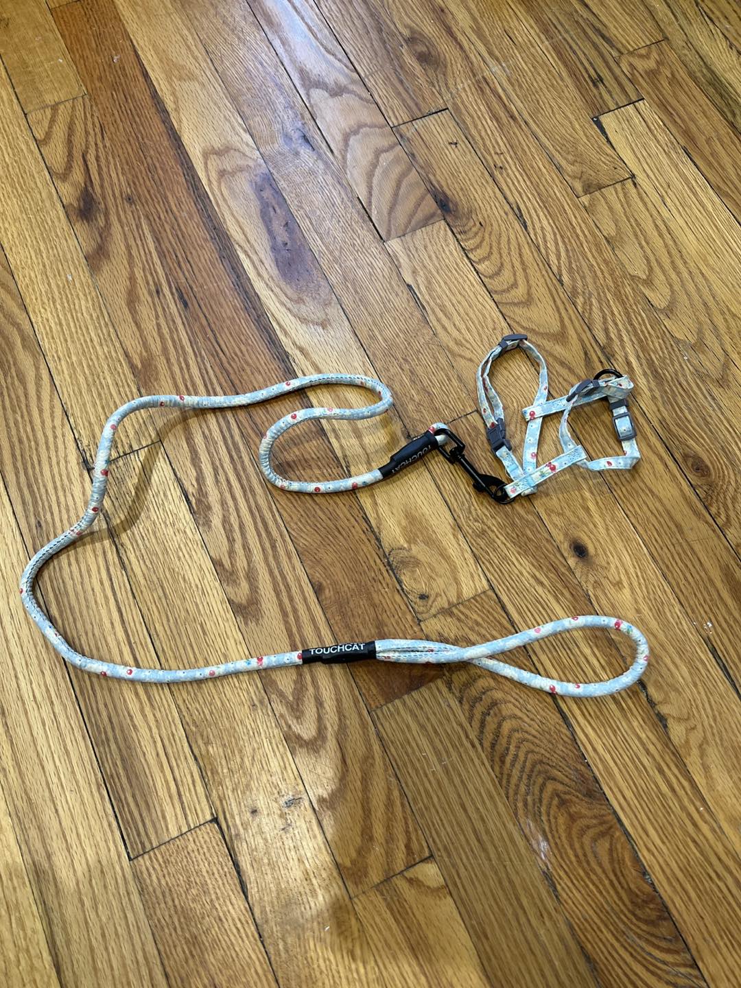 Small pet harness (cats/small dogs)