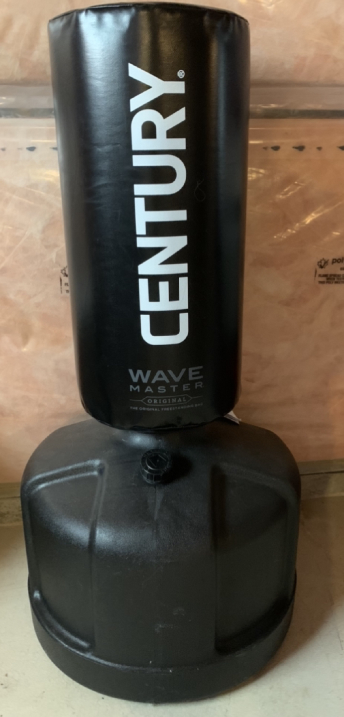 Wavemaster Punching Bag & Punching Gloves - photo 2