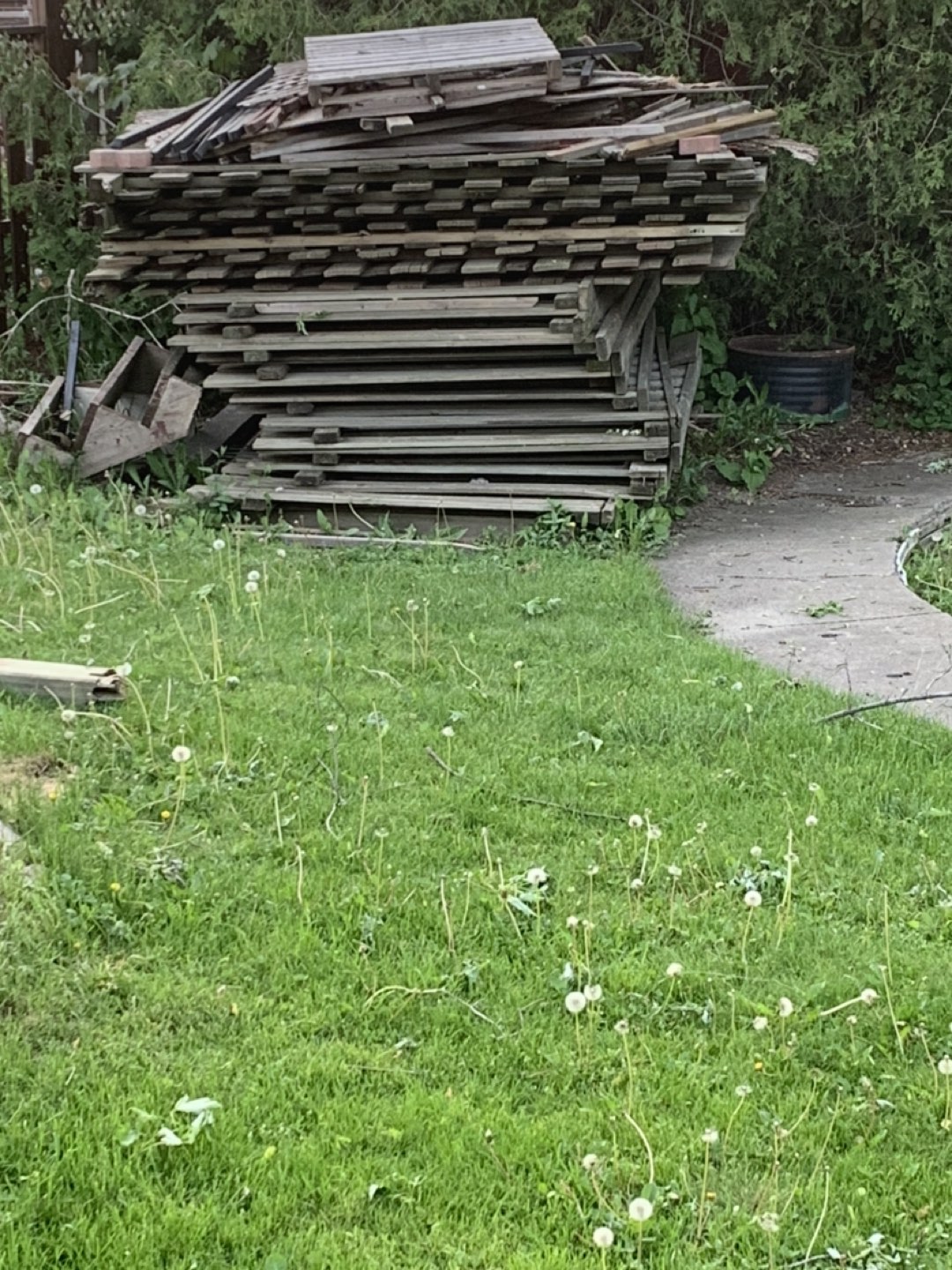 Fence Wood thumbnail