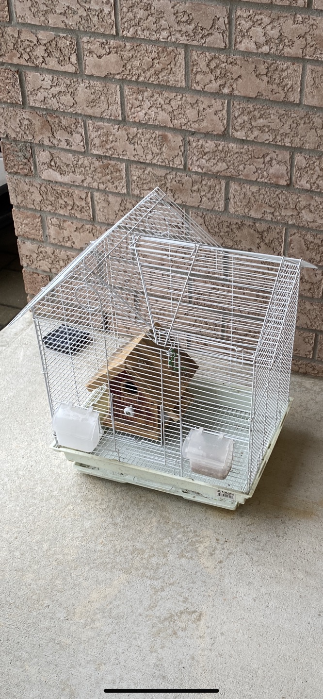 Cage