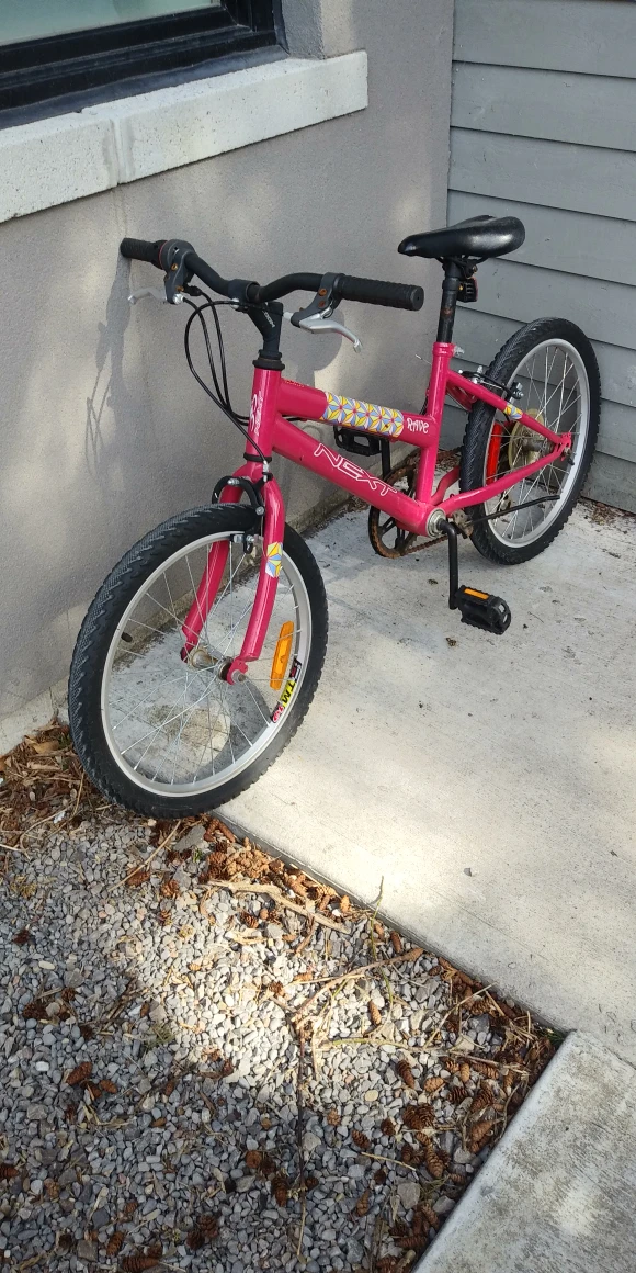 2 Free Bikes - photo 2