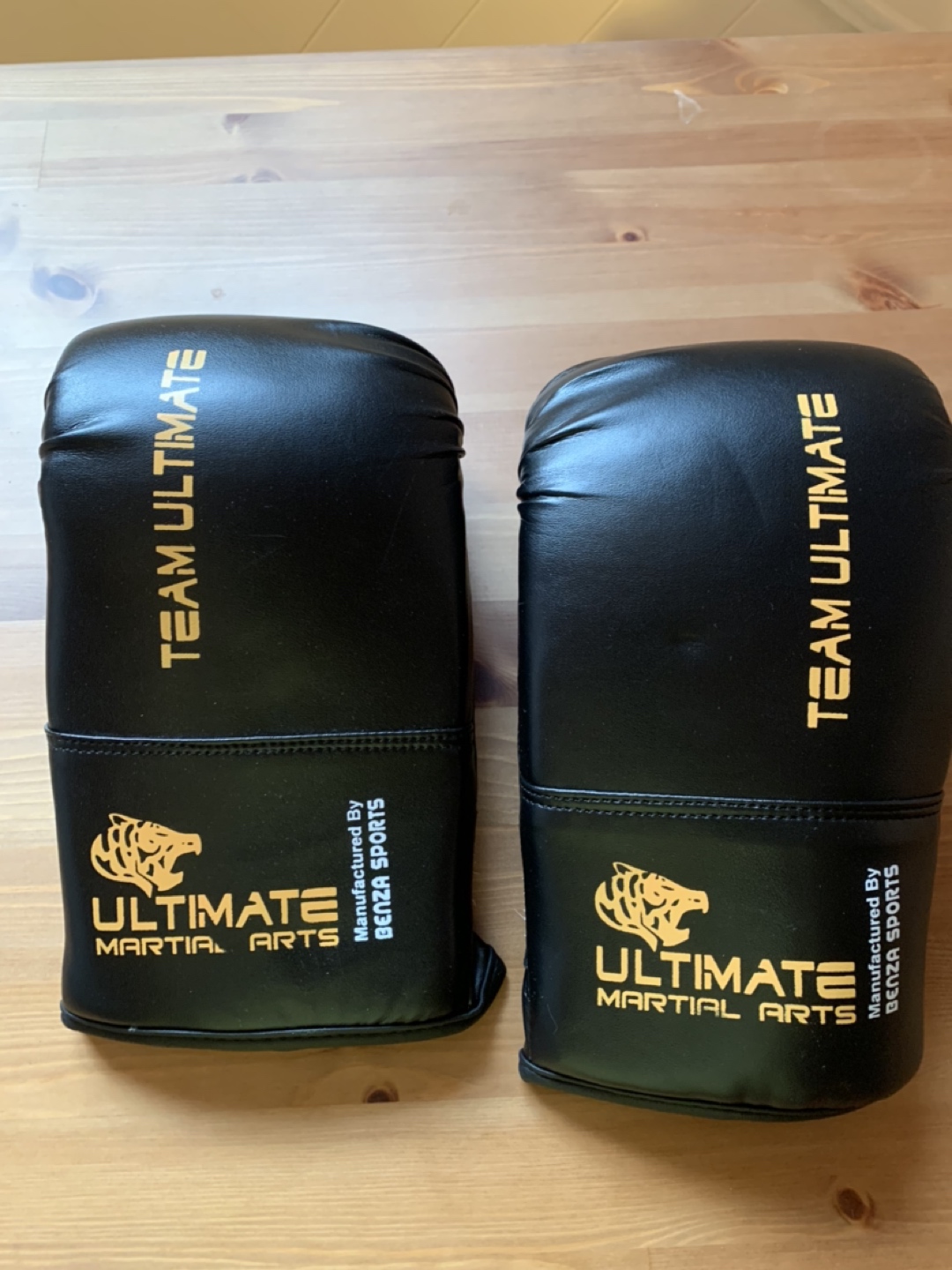 Wavemaster Punching Bag & Punching Gloves - photo 4