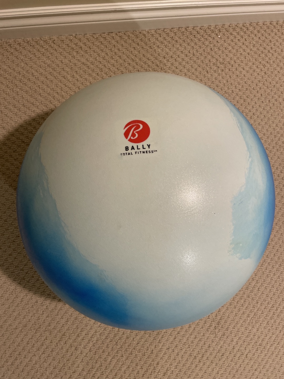 Bally total fitness ball thumbnail