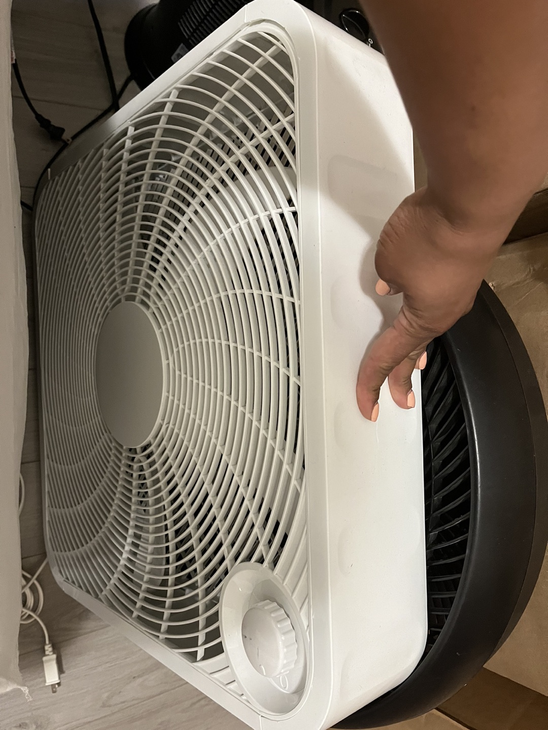Fan